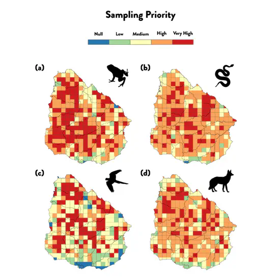 PhD in Life Sciences